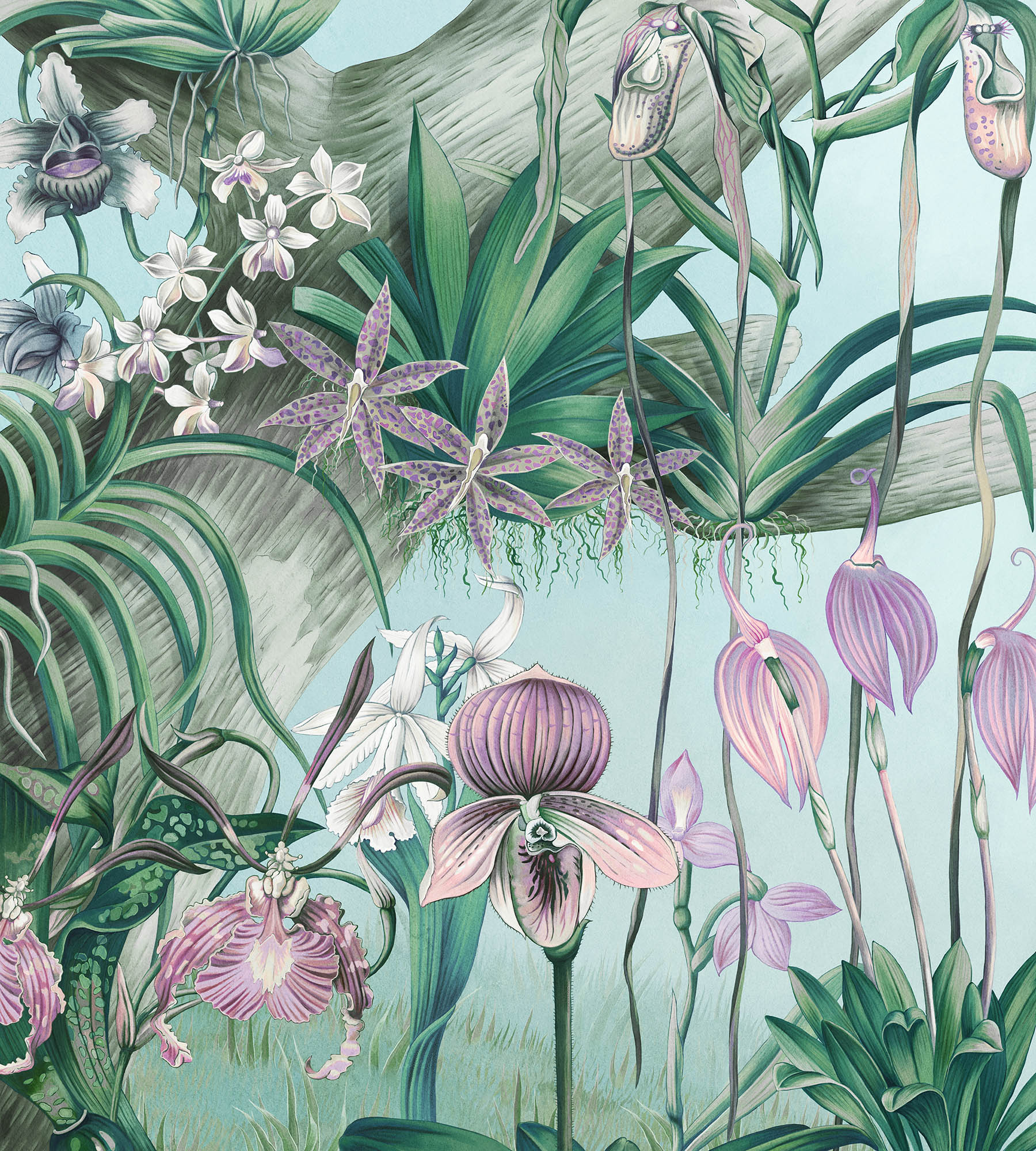 Бесшовные Фотообои Orchid