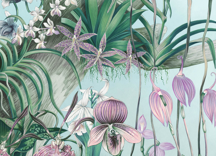 Бесшовные Фотообои Orchid - Фото 3