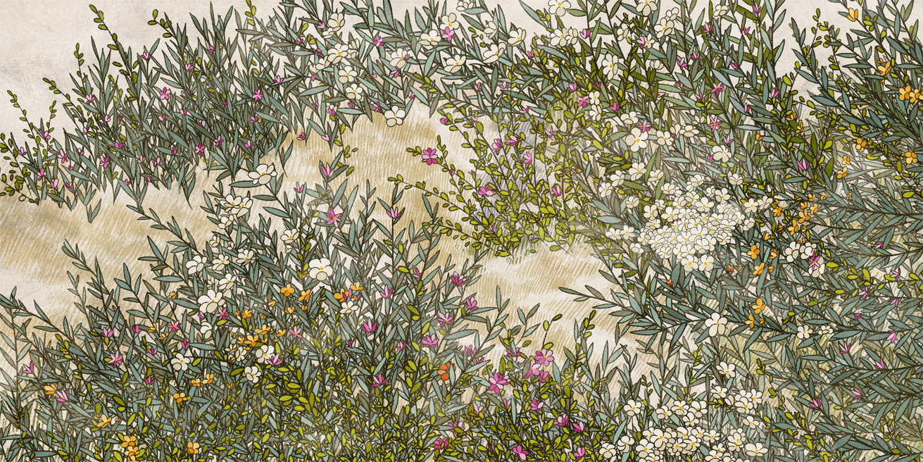 Wallpaper Liveliness