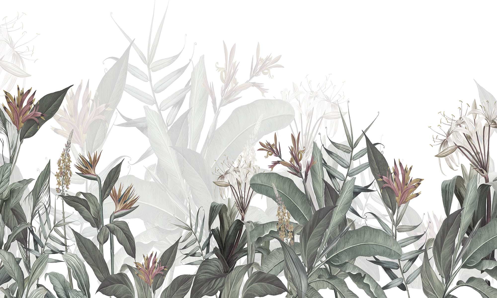 Wallpaper Tropics