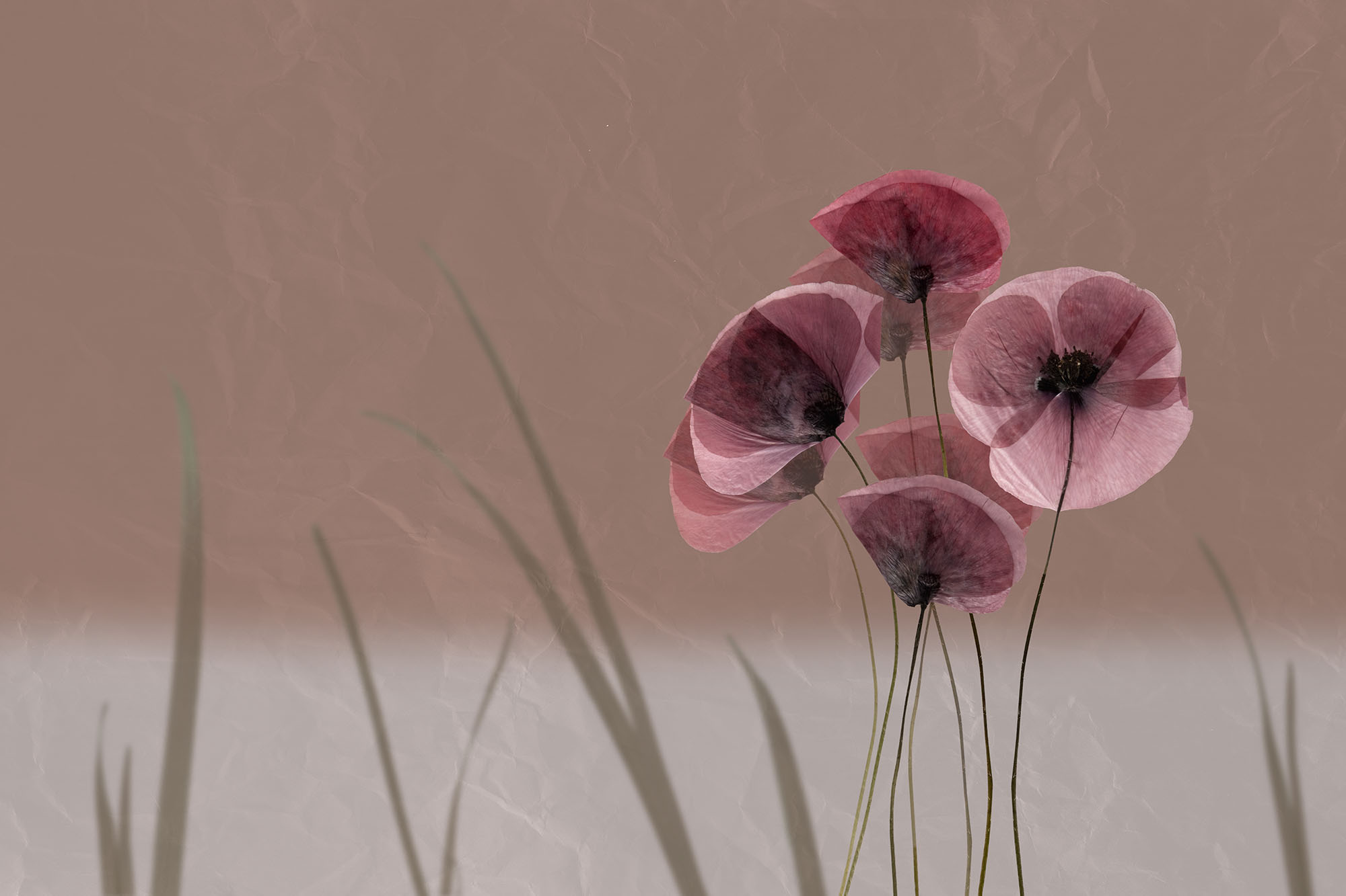 Безшовні Фотошпалери I fiori