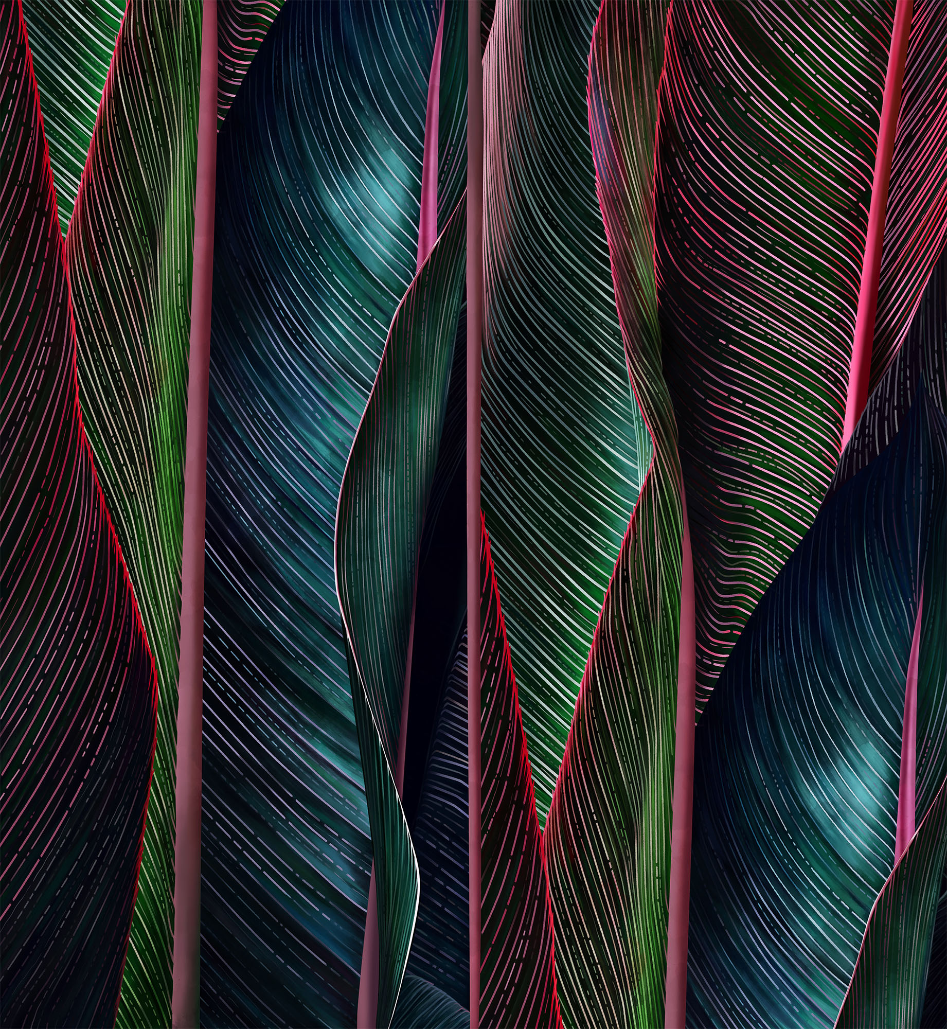 Wallpaper Back to nature