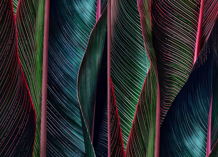 Wallpaper Back to nature - Фото 3