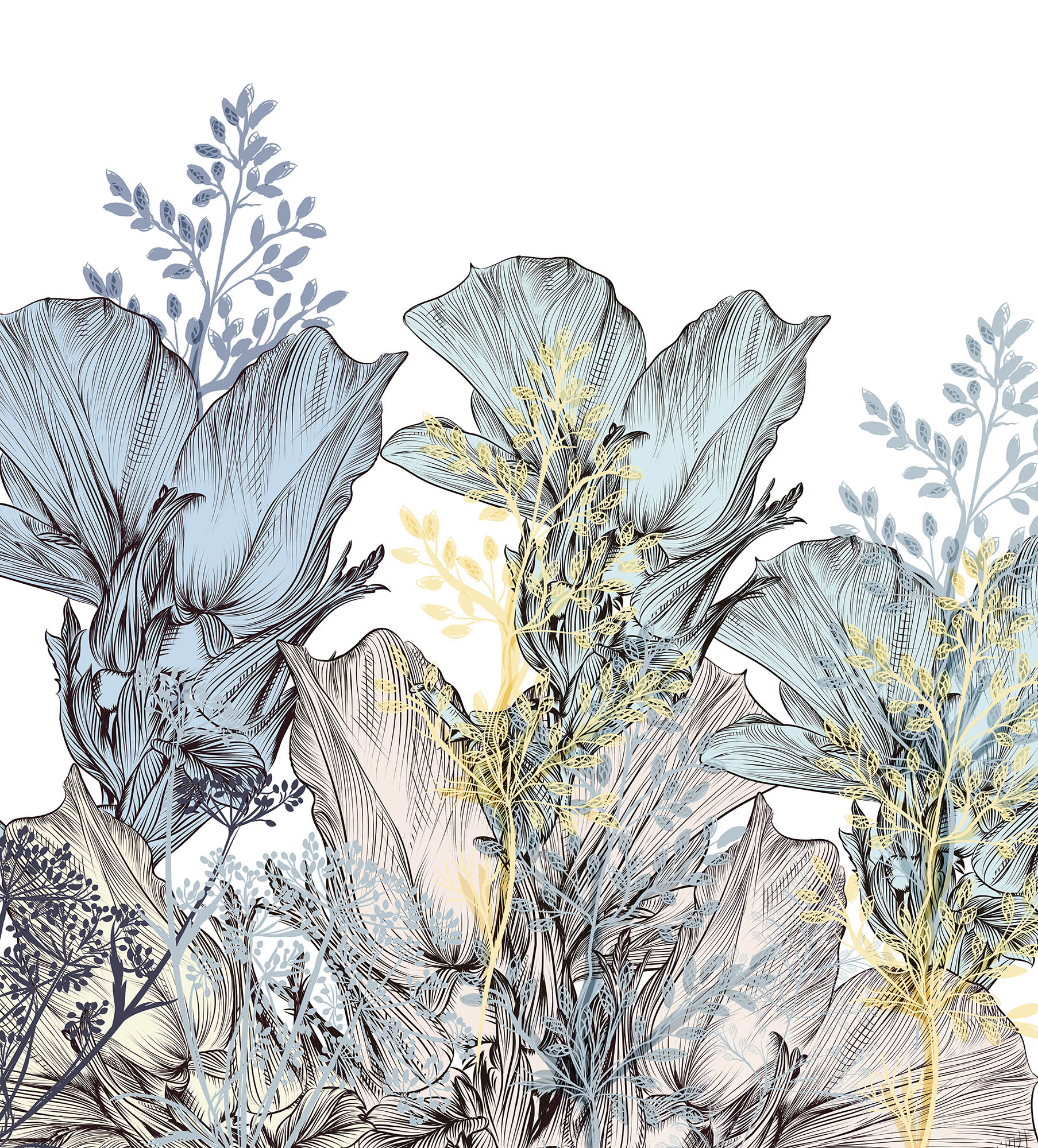 Wallpaper Meadow herbs