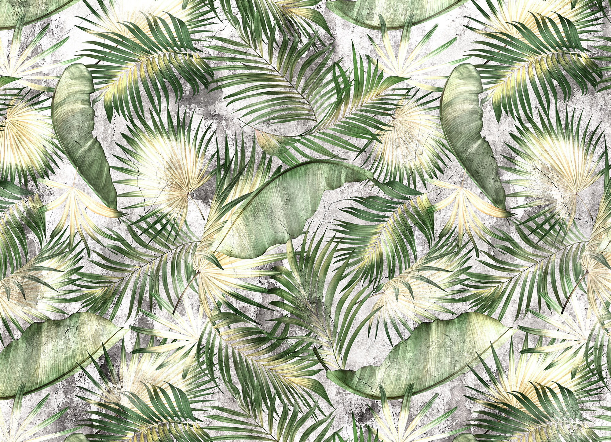 Wallpaper Tropic life