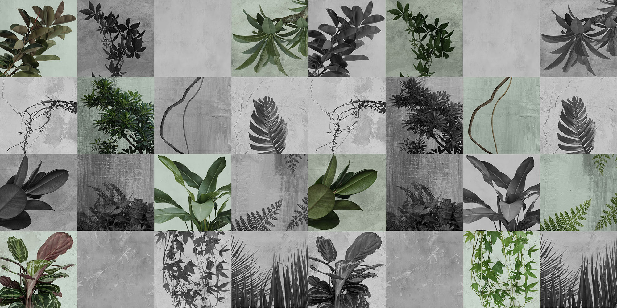 Wallpaper Favn
