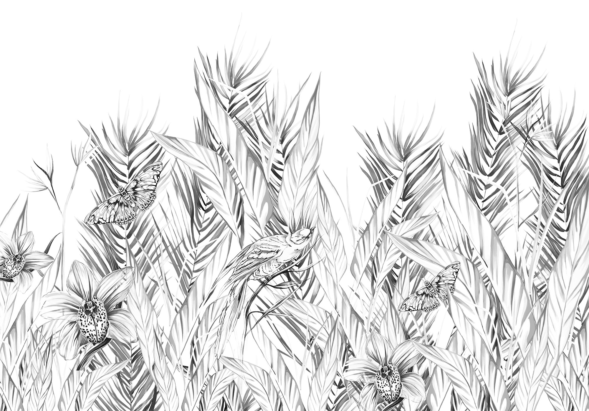 Безшовні Фотошпалери Flora fauna