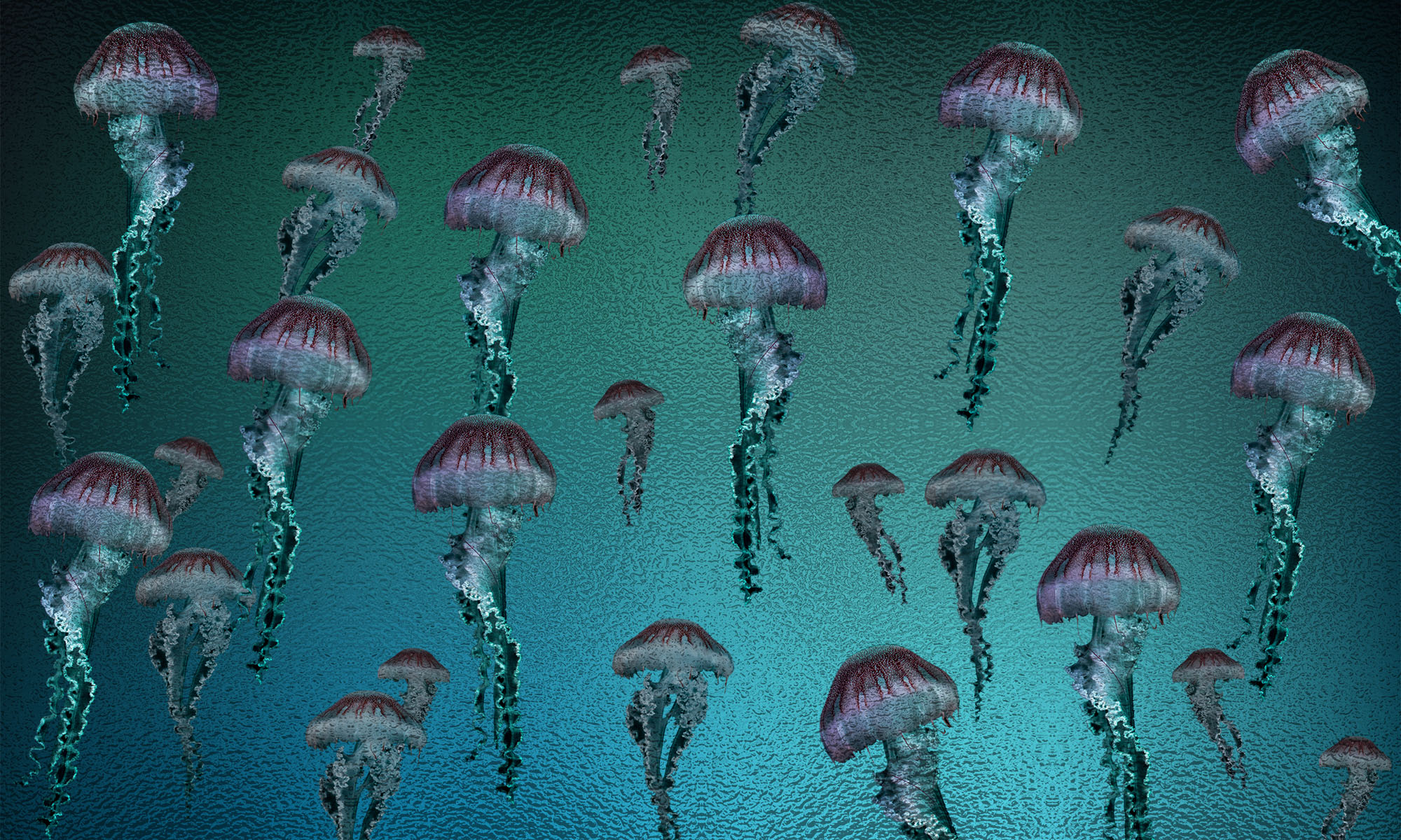 Fototapeta Hydrozoa