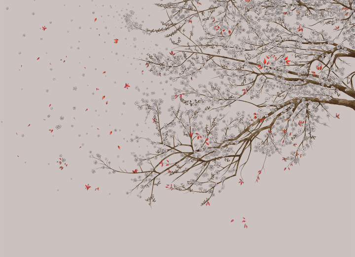 Wallpaper Sakura - Фото 4