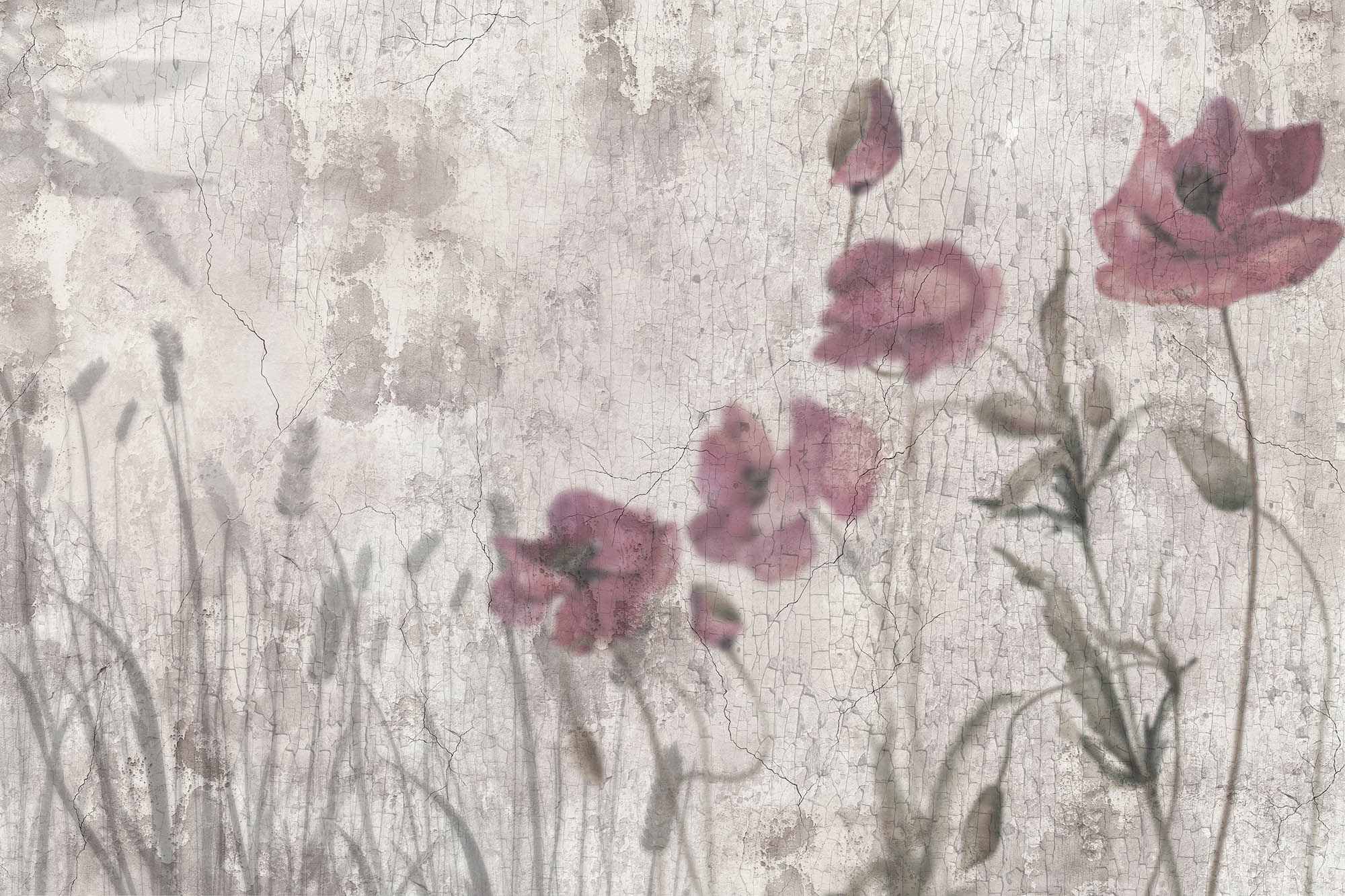 Wallpaper Poppies
