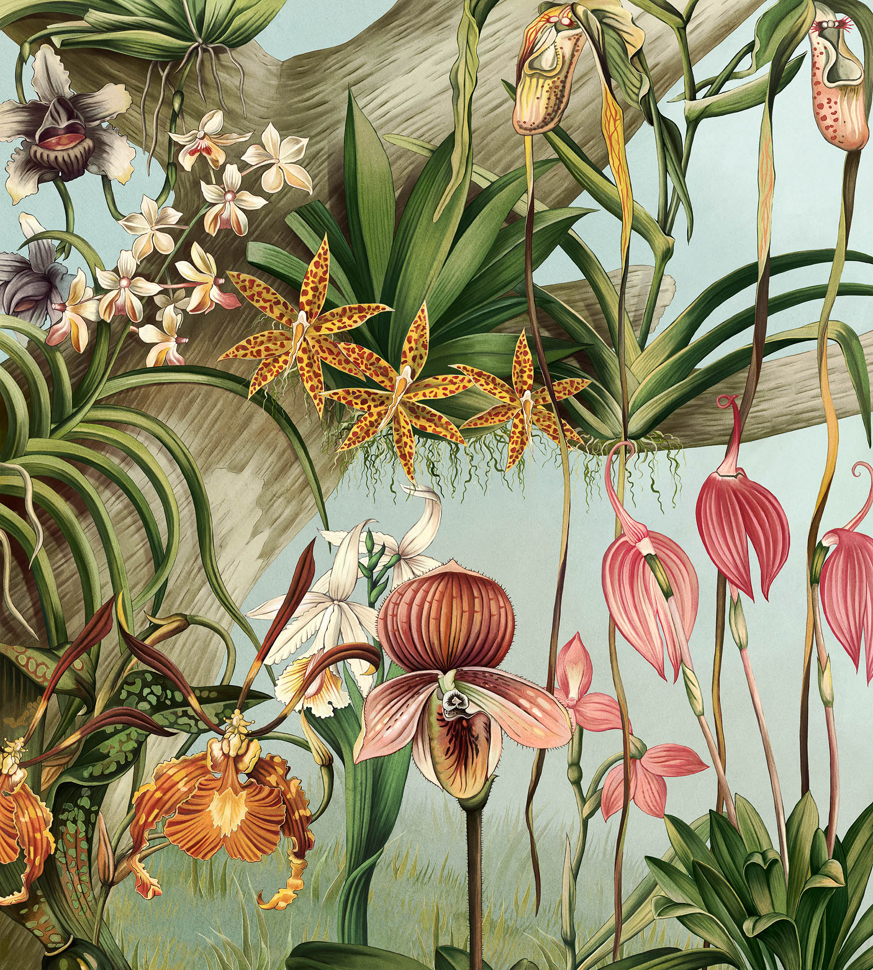 Бесшовные Фотообои Orchid