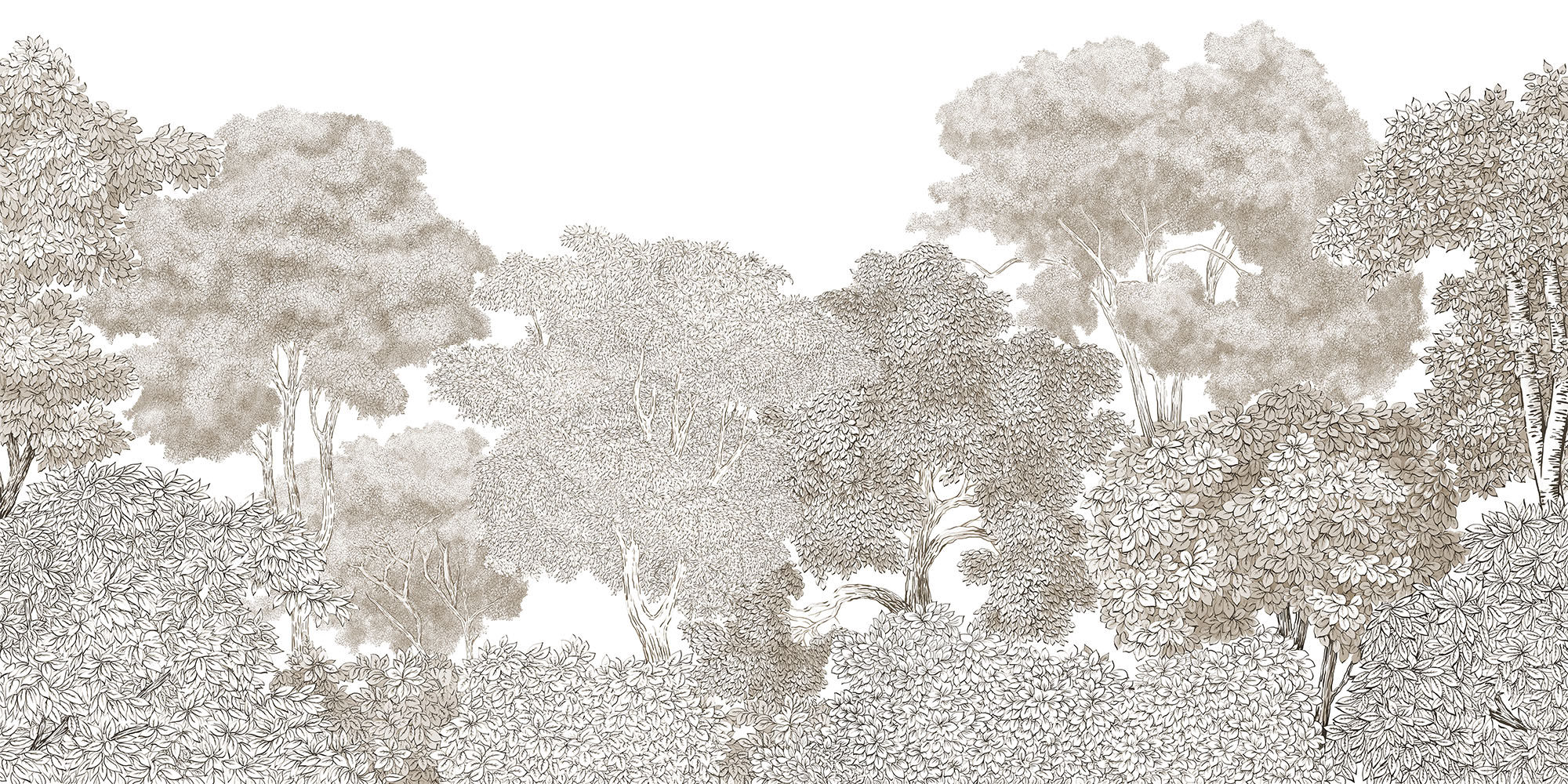 Fototapeta Trees of graphics