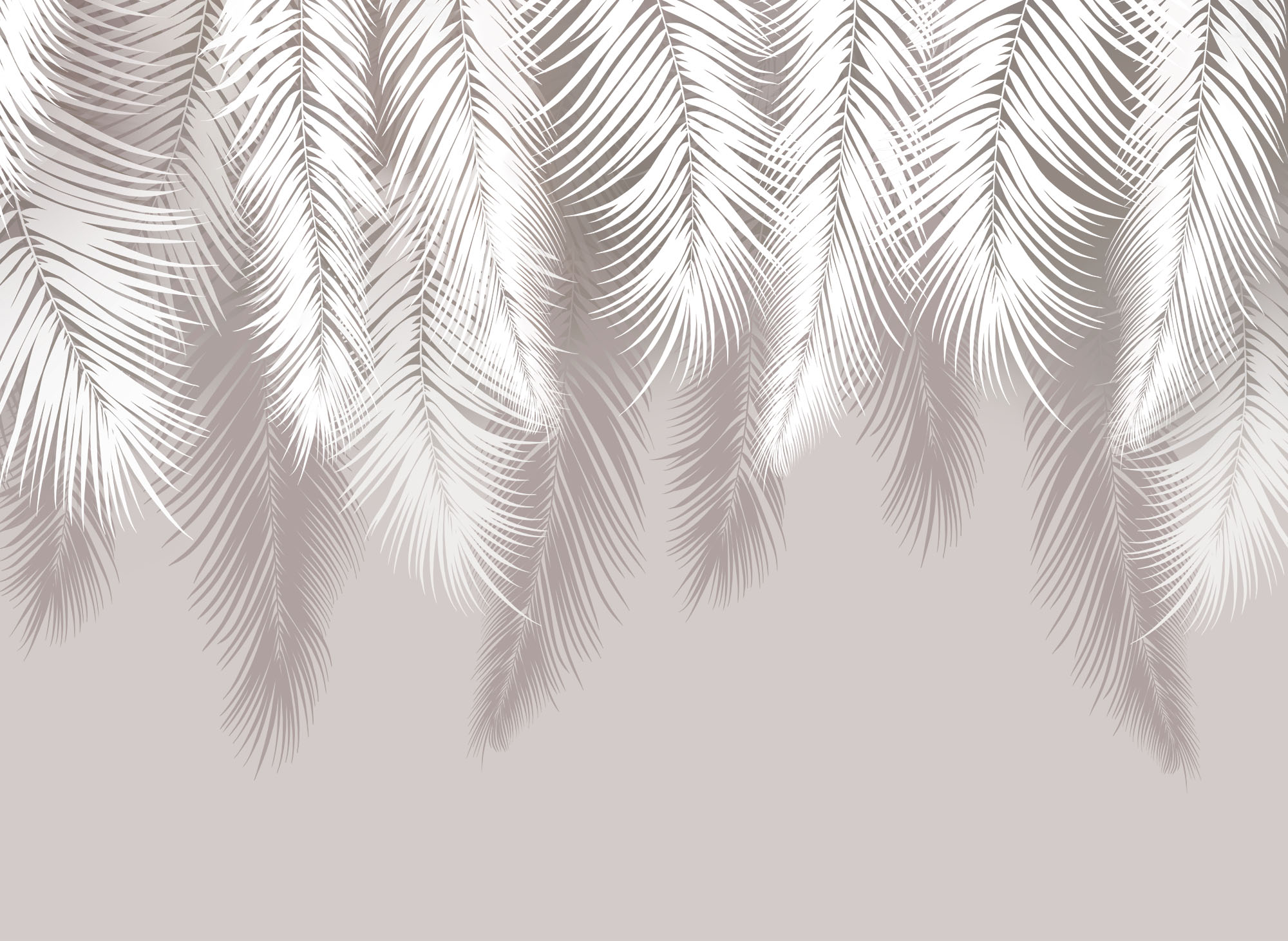 Fototapeta Areca leaves