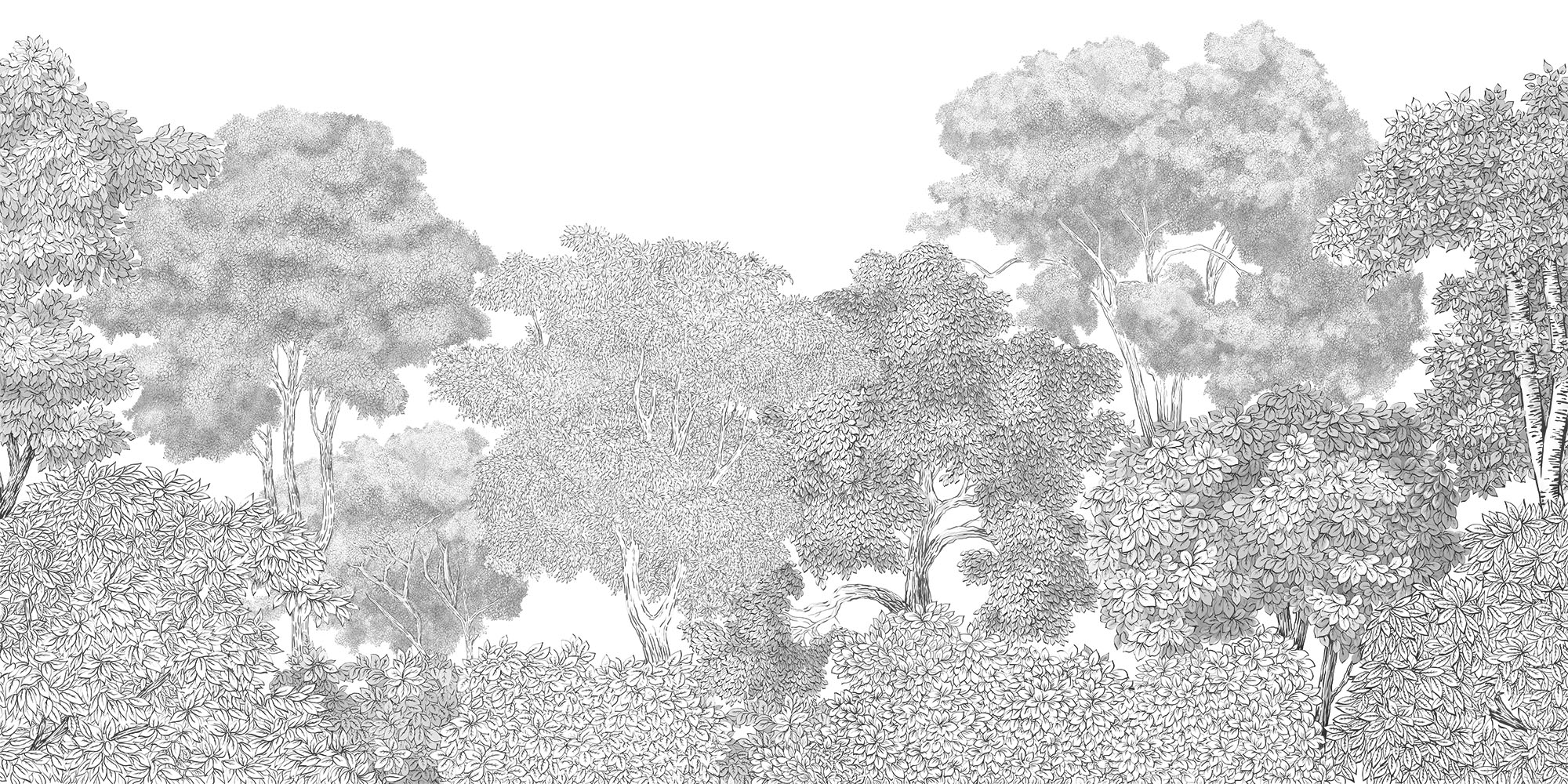 Fototapeta Trees of graphics