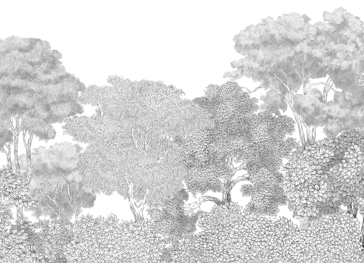 Fototapeta Trees of graphics - Фото 3