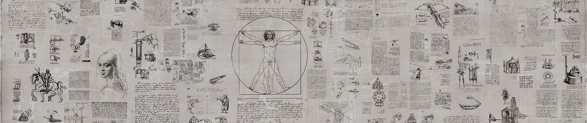 Fototapeta DaVinci*