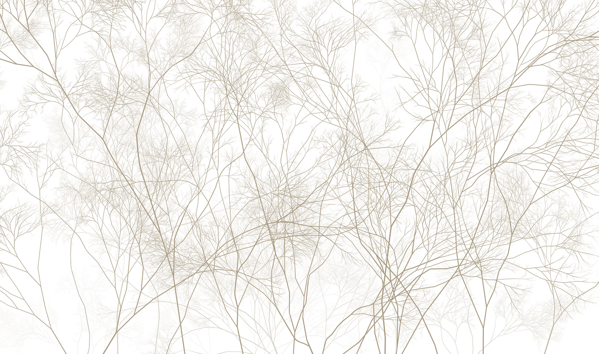 Wallpaper Branches