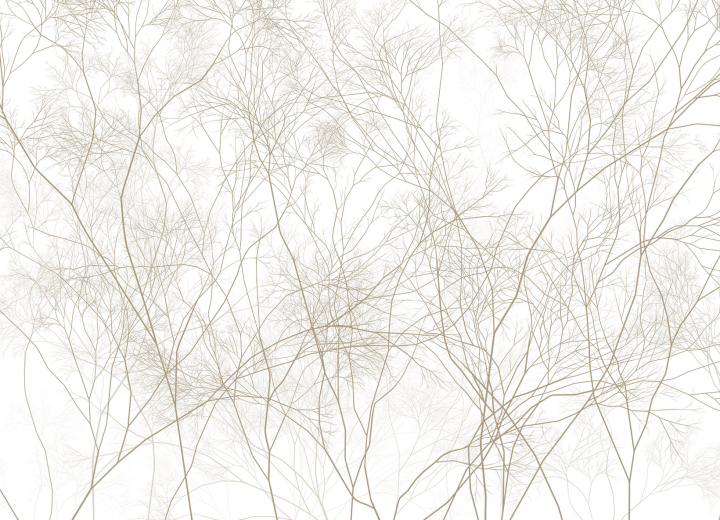 Wallpaper Branches - Фото 3