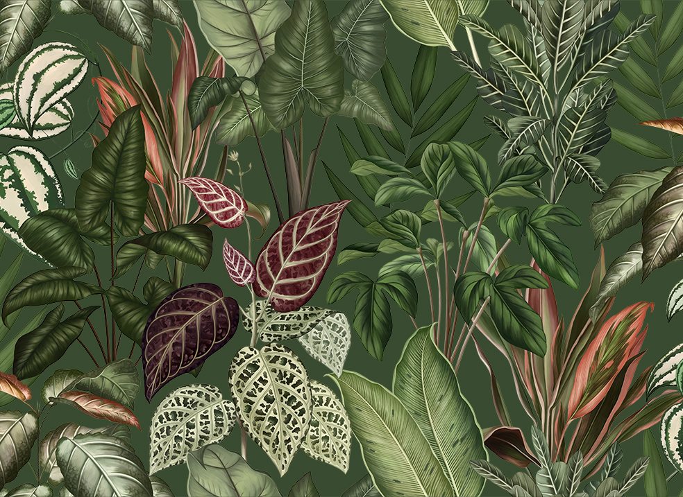 Fototapeta Engraving leaves