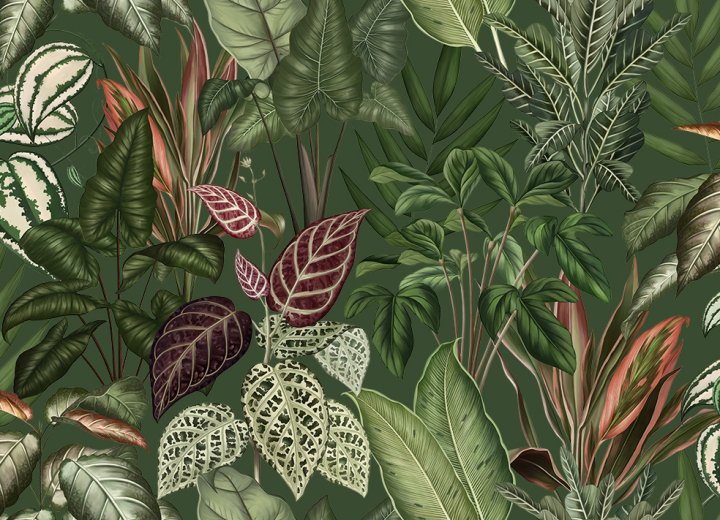Fototapeta Engraving leaves - Фото 5