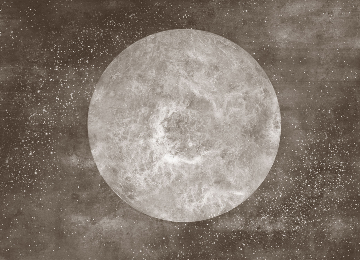 Wallpaper Venus - Фото 4