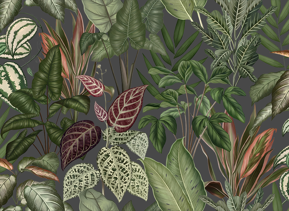 Fototapeta Engraving leaves