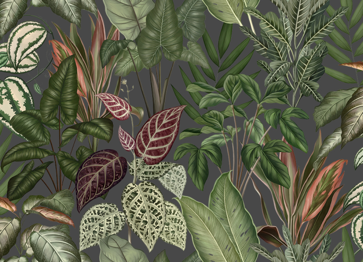 Fototapeta Engraving leaves - Фото 4