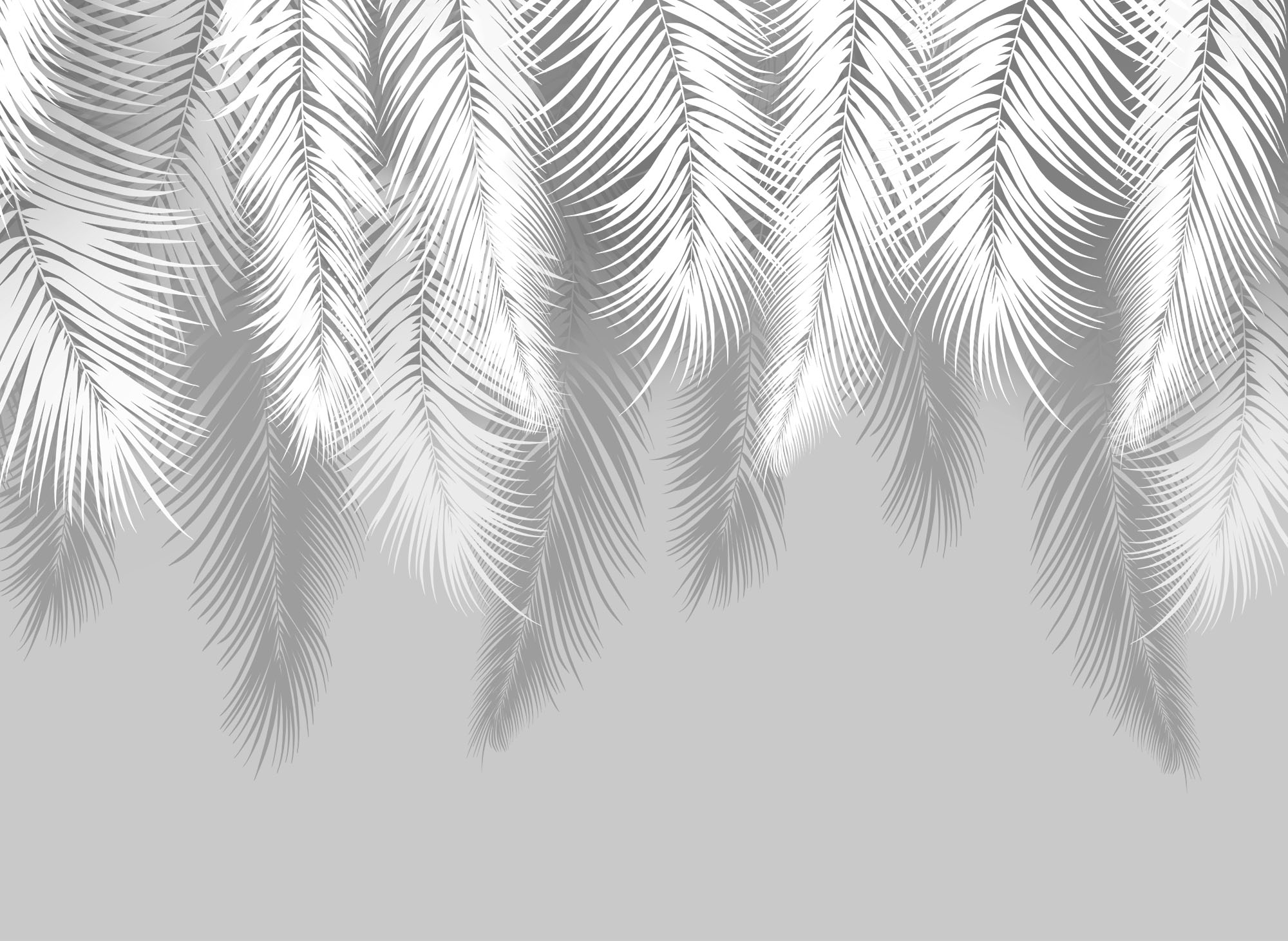 Fototapeta Areca leaves