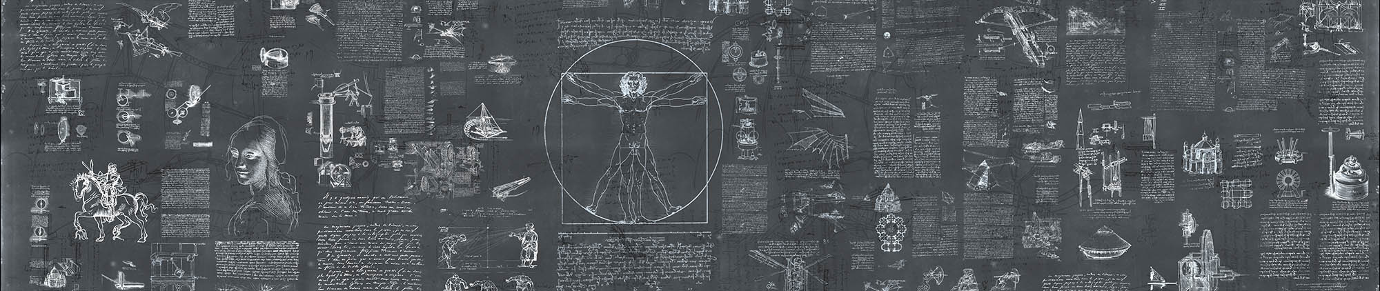 Fototapeta DaVinci*