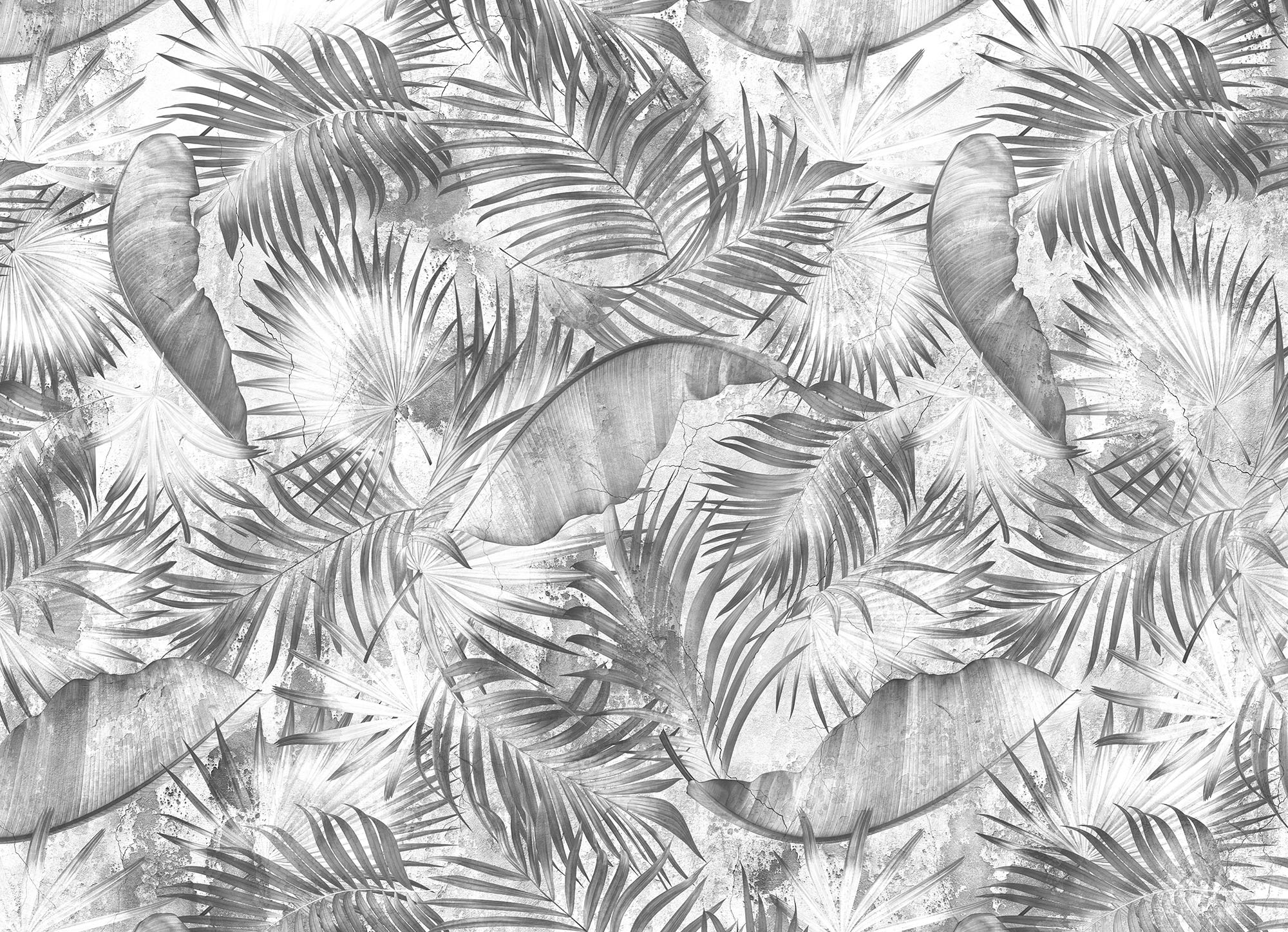Wallpaper Tropic life