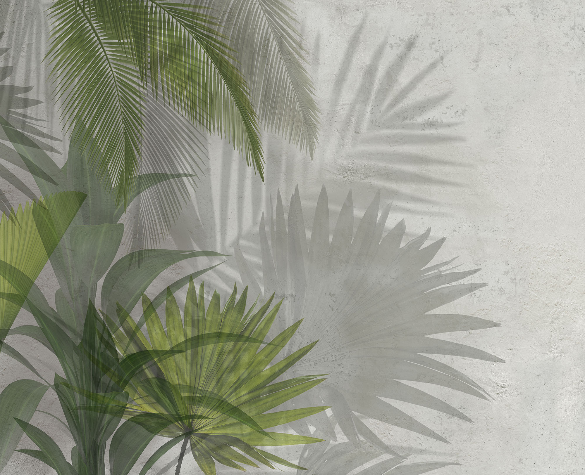 Wallpaper Exotic