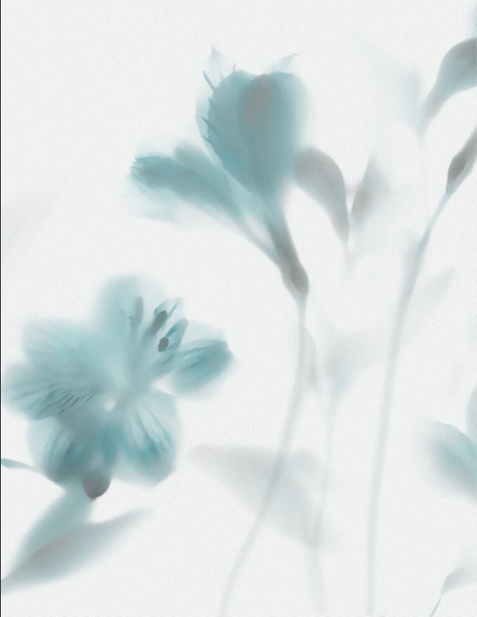 Безшовні Фотошпалери Розпродаж &quot; Flowers in the fog &quot; - Фото 1