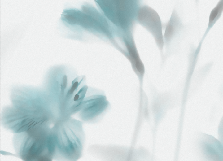 Безшовні Фотошпалери Розпродаж &quot; Flowers in the fog &quot; - Фото 1