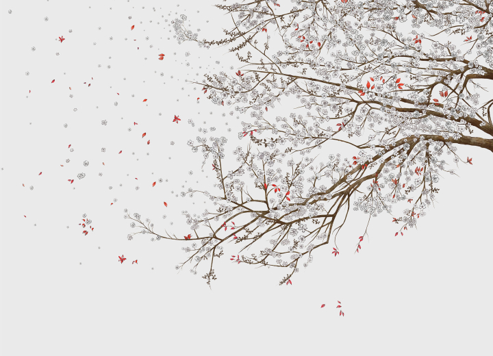 Wallpaper Sakura - Фото 3