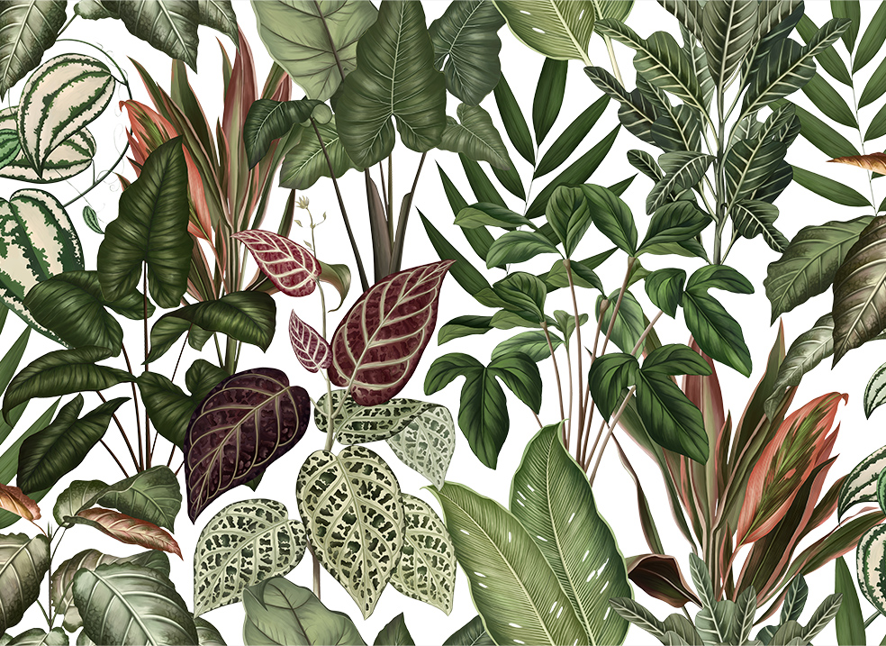 Fototapeta Engraving leaves