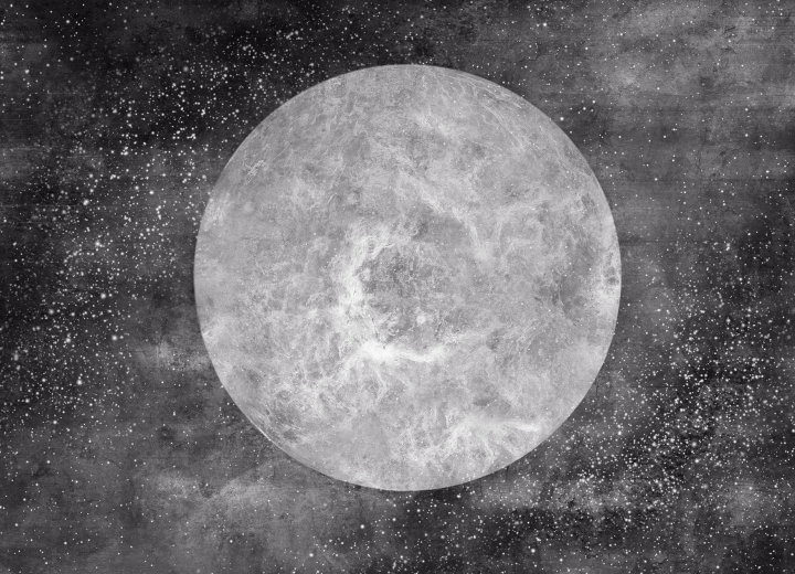 Wallpaper Venus - Фото 3