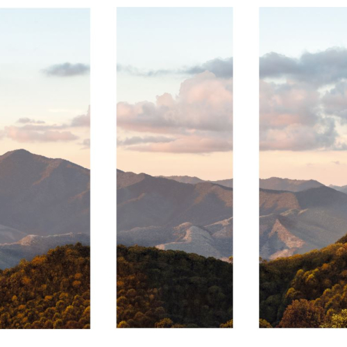 Распродажа готовых фотообоев | сторінка  №2 Розпродаж Forest-2 