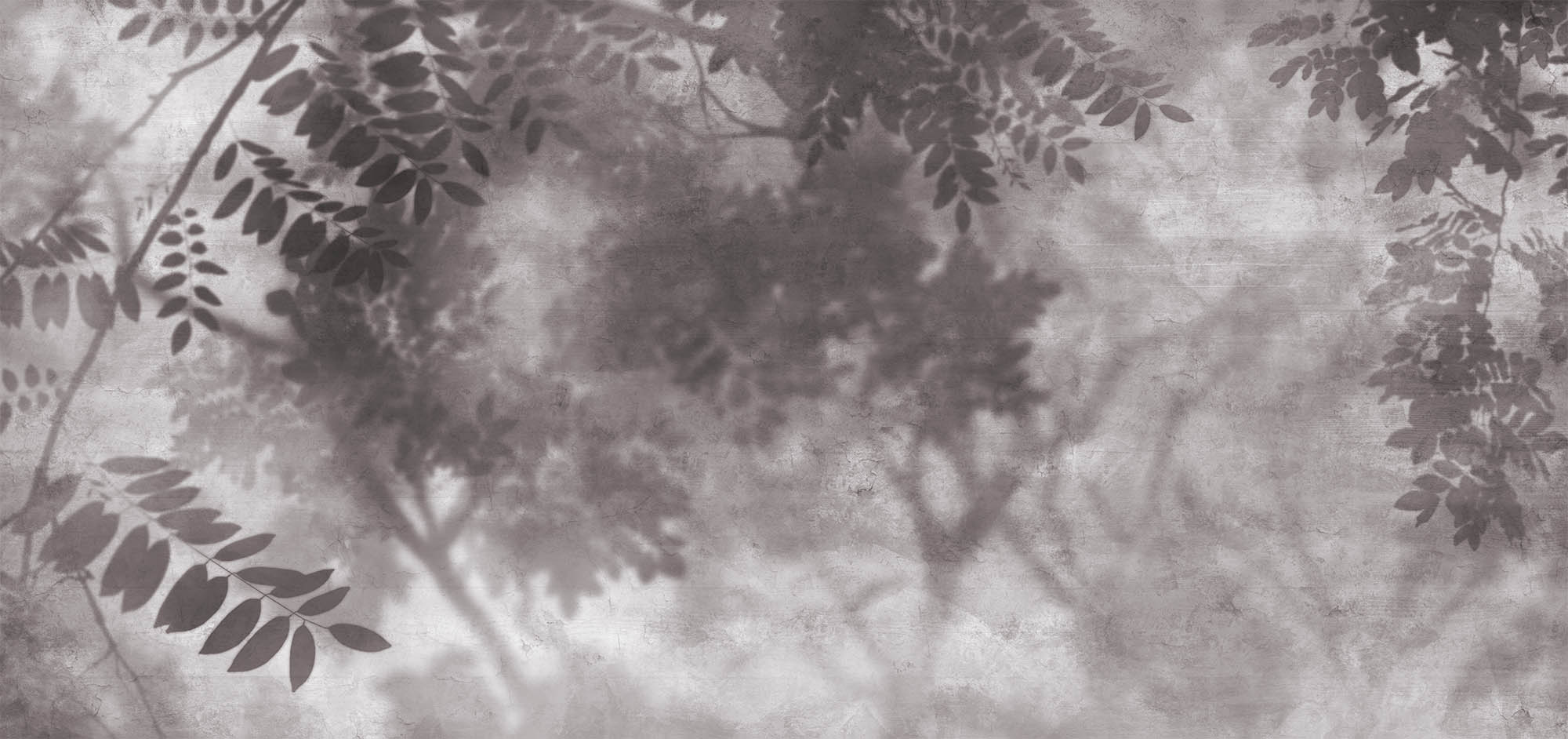 Wallpaper Leaf shadows