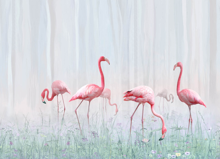 Wallpaper Caribbean flamingo - Фото 3