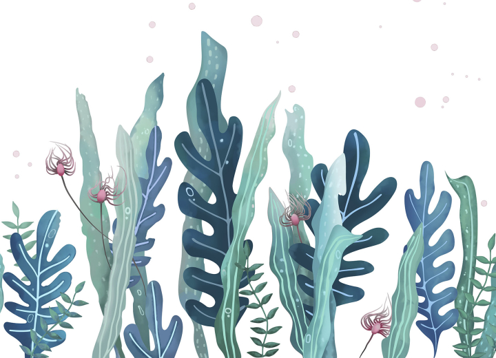 Бесшовные Фотообои Розпродаж "Підводний світ" - Фото 1