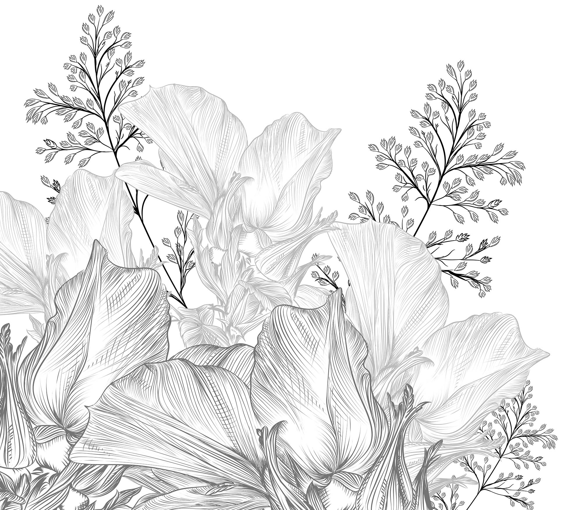 Wallpaper Meadow herbs