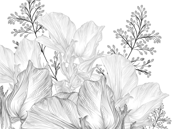 Wallpaper Meadow herbs - Фото 3