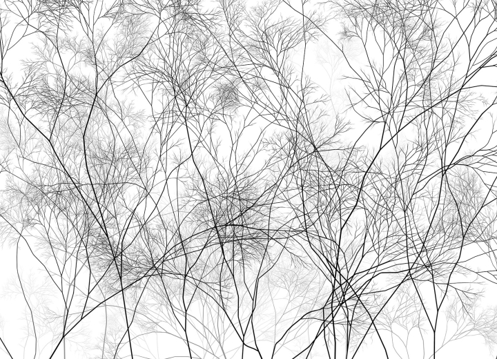 Wallpaper Branches - Фото 4