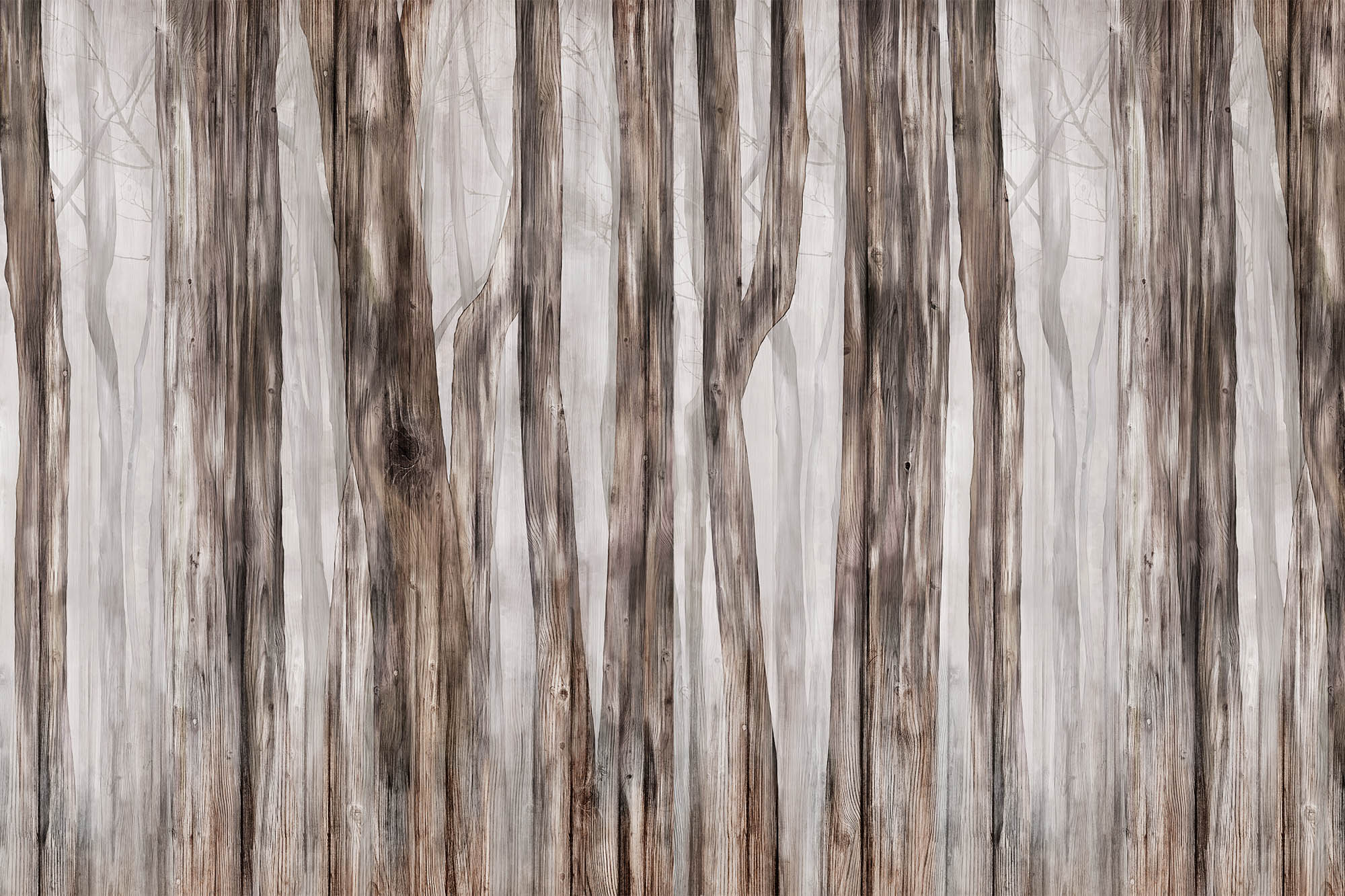 Wallpaper Sleepy forest